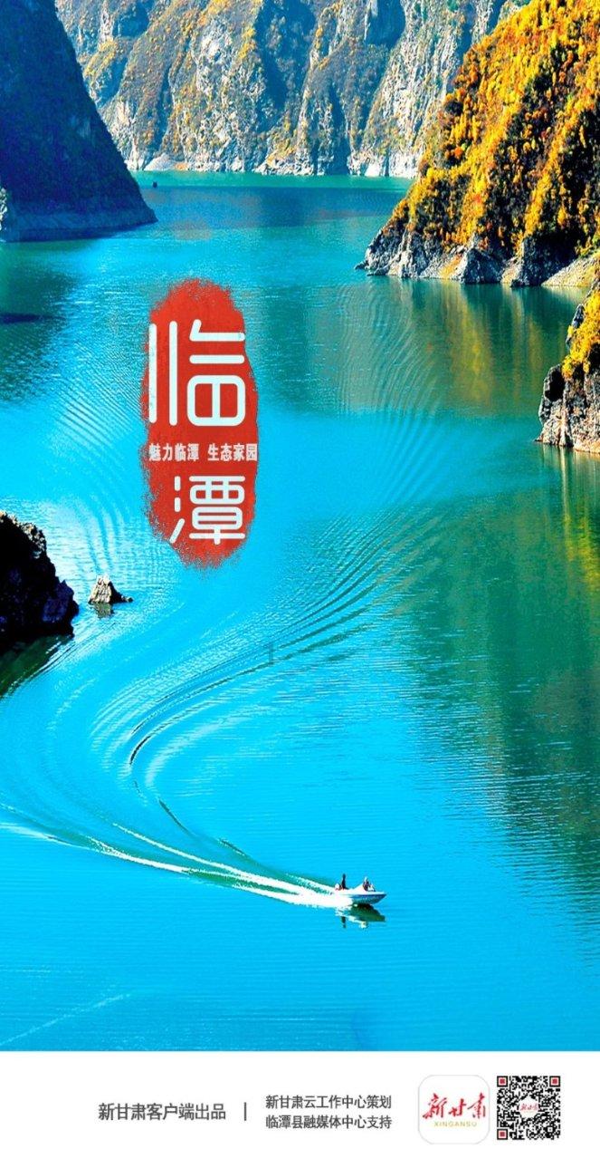 英国电影学院奖提名公布 《花月杀手》爆冷掉队